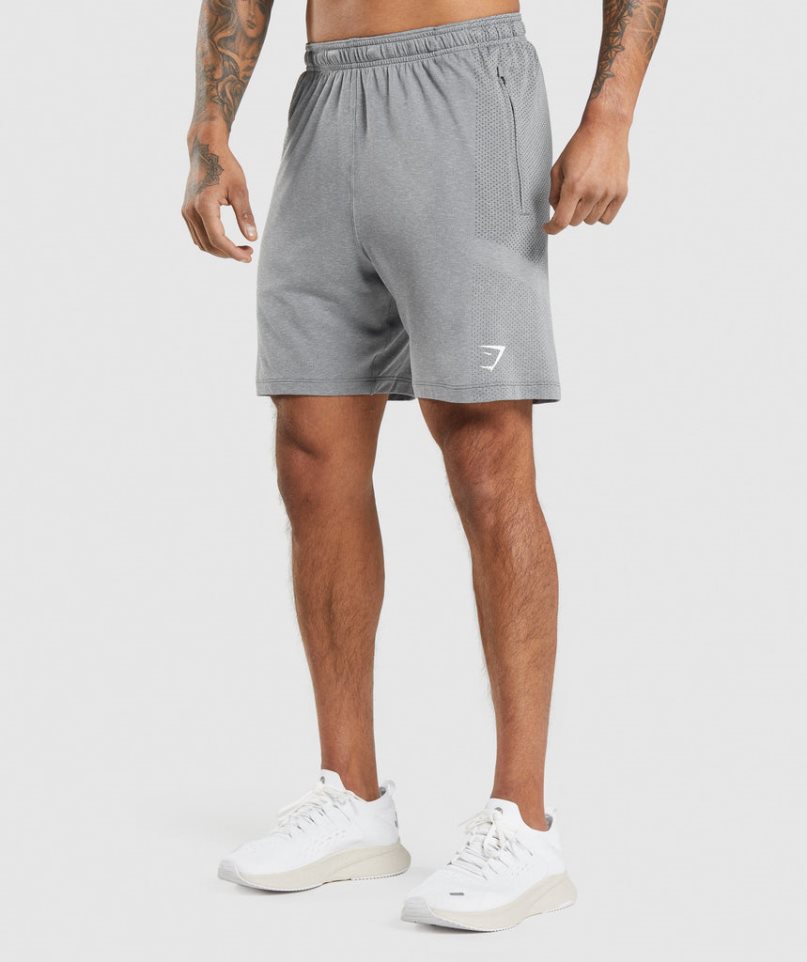 Szorty Gymshark Vital Light Męskie Szare | PL 731KVC